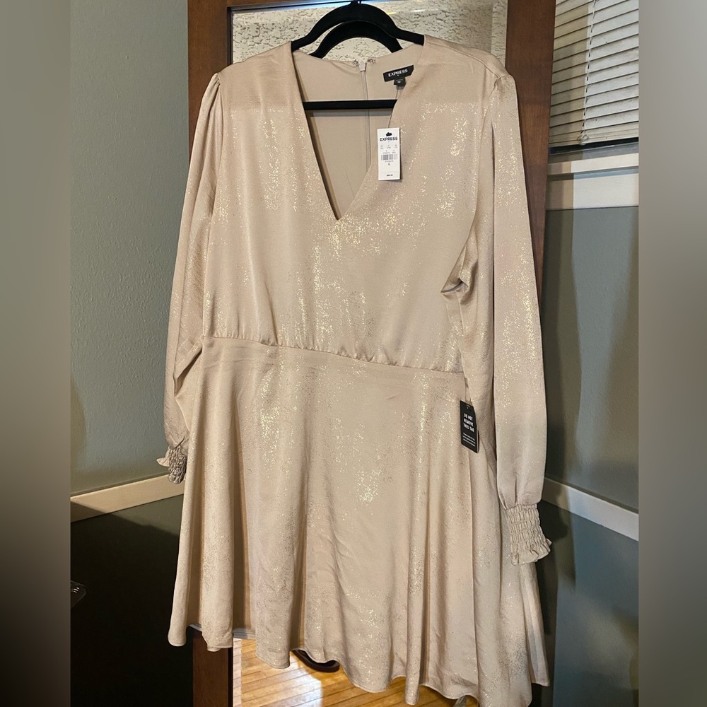 NWT Express Champagne Dress with gold glitter specs. Size XL. New with tags.